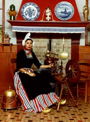 Celebrating  Nowrouz