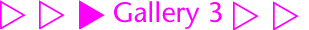 gallery01